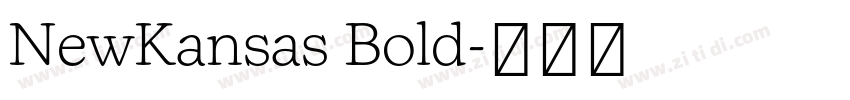 NewKansas Bold字体转换